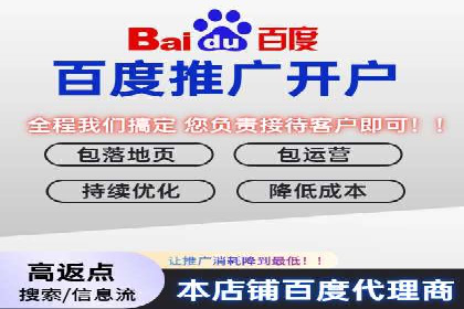 百度品牌专区推广：打造品牌形象的新途径